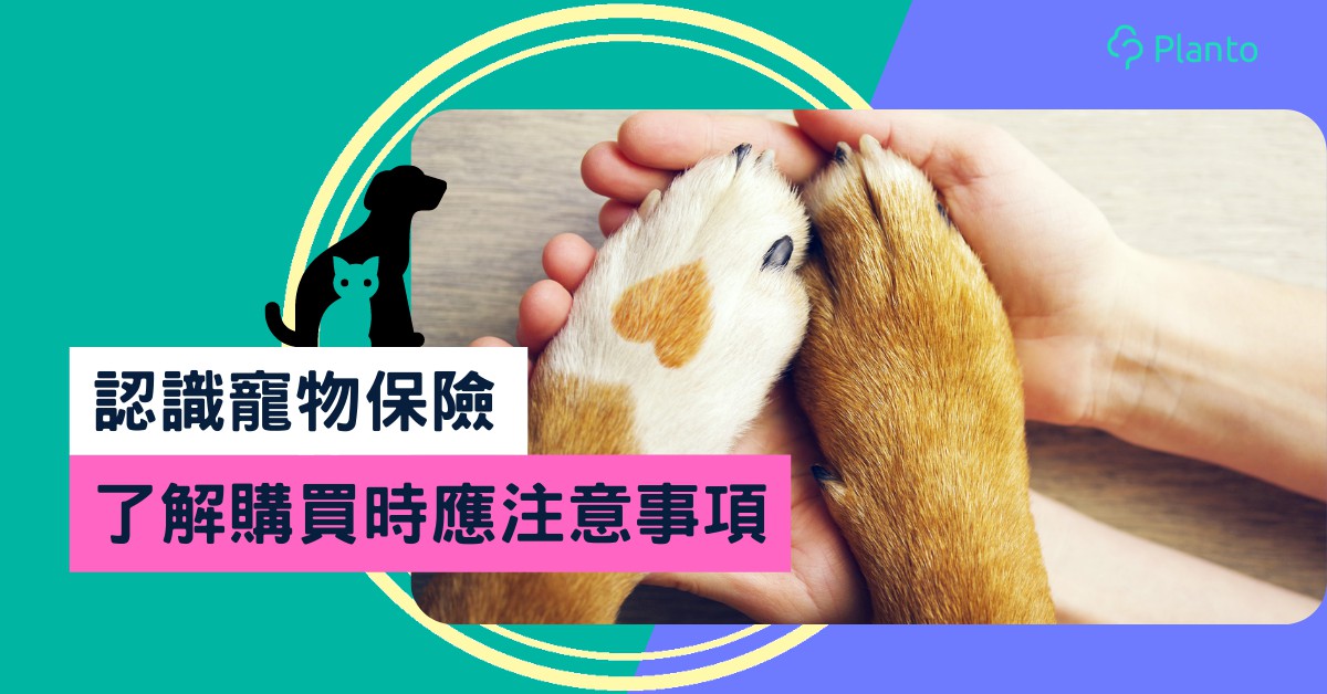 寵物保險比較2023｜香港寵物保邊間好？醫療/第三者責任/遺失賠償保障類別知多啲