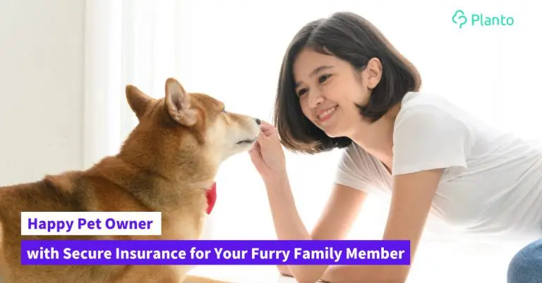 Pet Insurance Hong Kong: A Guide to Protecting Your Furry Friends & Wallet