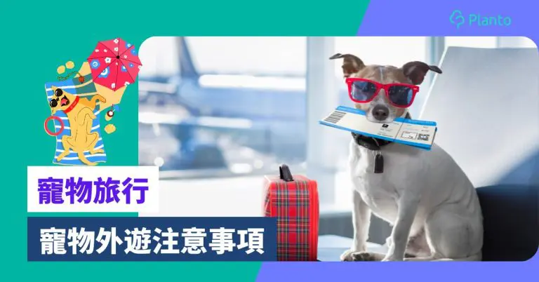 寵物旅行｜帶貓狗搭私人飛機去旅行不是夢？毛孩外遊注意事項